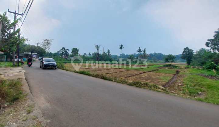 Tanah Pinggir Jalan Raya Pabuaran Kemang, Bogor Tanah Pinggir Jalan Raya Pabuaran Kemang, Bogor