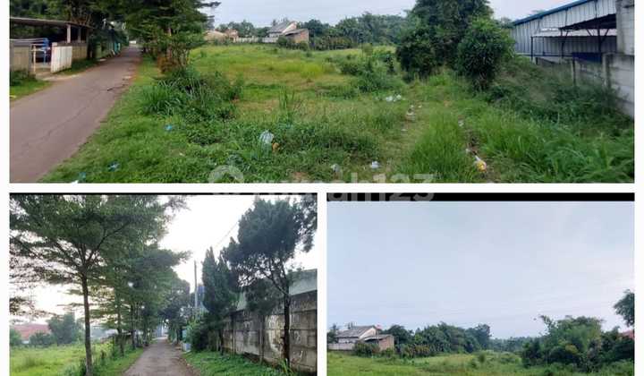 Tanah Termurah Pinggir Jalan Tajur Halang Dekat Parung Sawangan Tanah Termurah Pinggir Jalan Tajur Halang Dekat Parung Sawangan