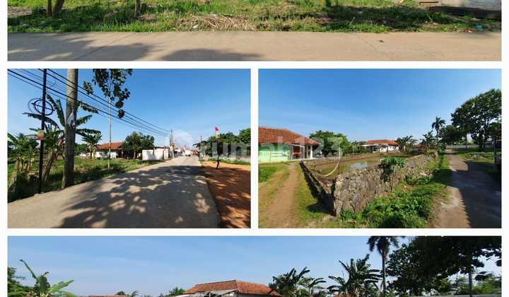 Tanah Murah Dibawah Pasaran Lokasi Putat Nugug Ciseeng Bogor