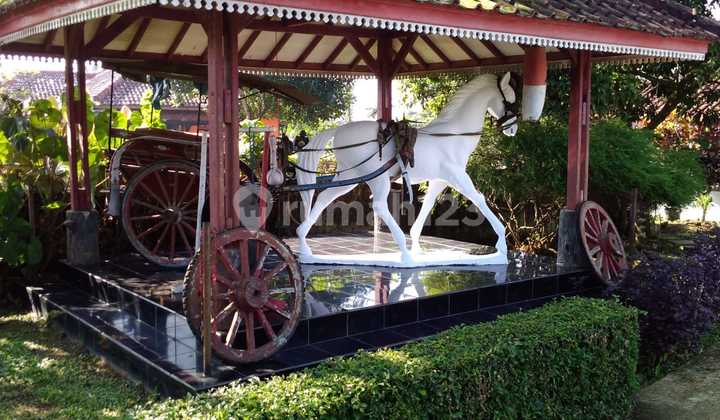 Dijual Rumah + Kebun Luas 8.100 Dijual Rumah + Kebun Luas 8.100