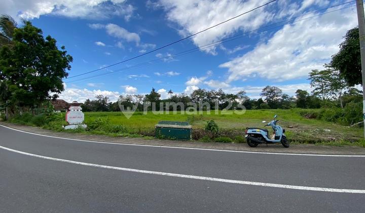 5 Minutes to UII Campus, Ideal for Starting a Business