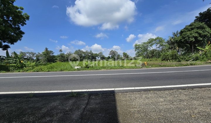 Tanah Tepi Jalan Raya, Cocok Investasi, 5 Menit Kampus Uii Tanah Tepi Jalan Raya, Cocok Investasi, 5 Menit Kampus Uii
