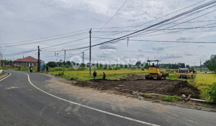 Tanah Kavling Yogyakarta, Hanya 7 Menit Kampus Umy, Tepi Jl. Raya Tanah Kavling Yogyakarta, Hanya 7 Menit Kampus Umy, Tepi Jl. Raya