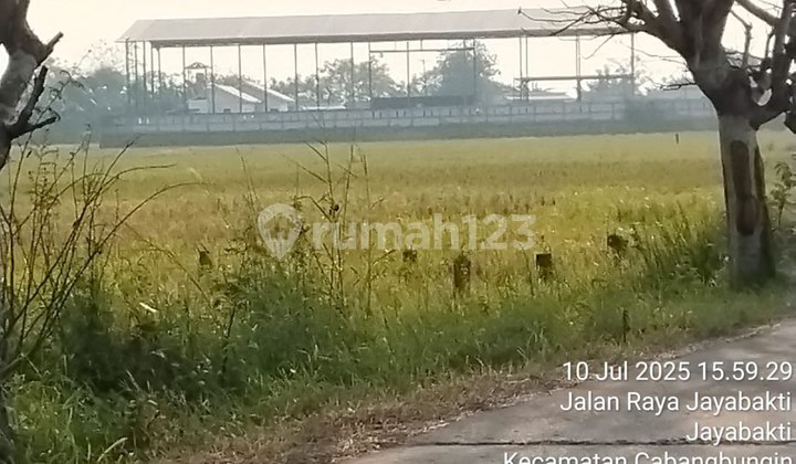 Tanah/ Lahan di Jayabakti, Cabangbungin Kabupaten Bekasi Tanah/ Lahan di Jayabakti, Cabangbungin Kabupaten Bekasi