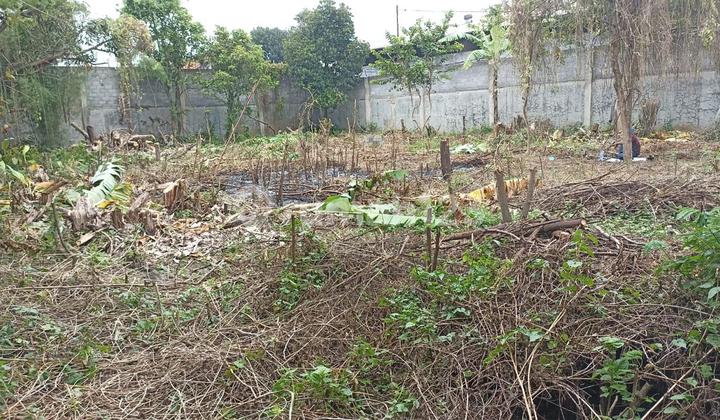 Best bang for your buck!! Land/Plot for Rent Near Summarecon Best bang for your buck!! Land/Plot for Rent Near Summarecon