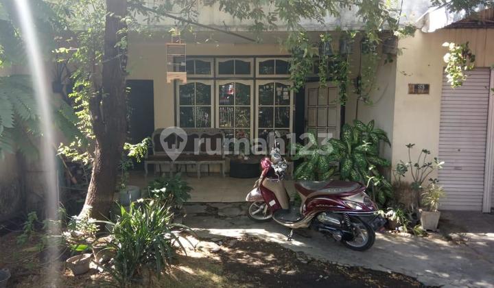 For Sale House with Boarding Rooms in Tebel, Gedangan, Sidoarjo For Sale House with Boarding Rooms in Tebel, Gedangan, Sidoarjo