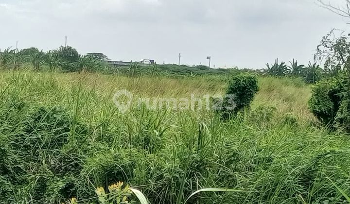 Dijual Tanah Area Cerme