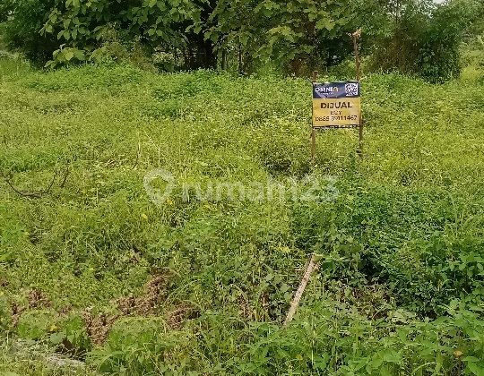 Dijual Tanah di Driyorejo, Gresik Dijual Tanah di Driyorejo, Gresik