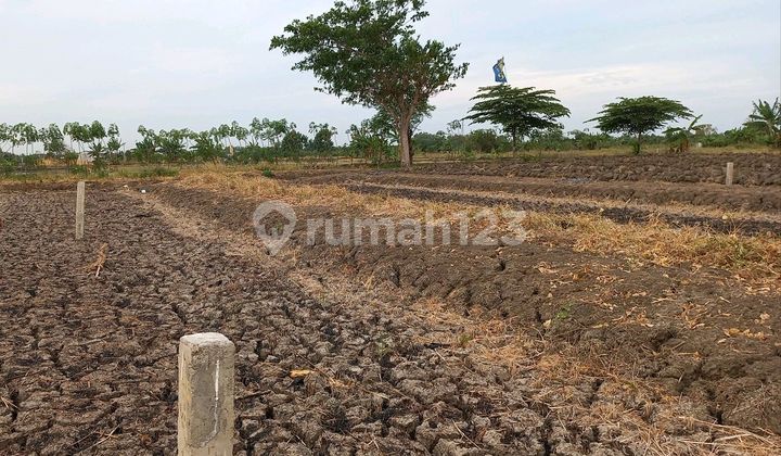 Tanah Peranti Menganti Dekat dengan Area Industri