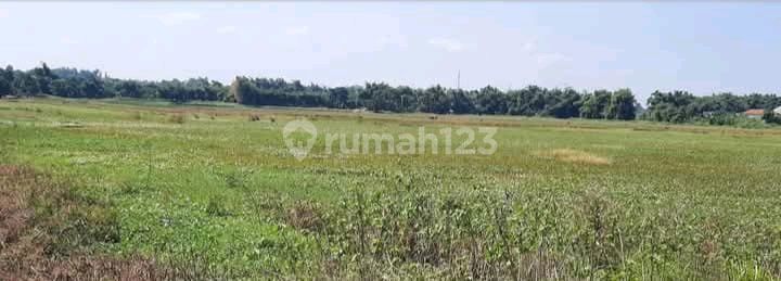 Dijual Tanah Murah Daerah Kawasan Industri di Wringinanom Gresik