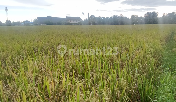 Tanah Murah di Daerah Bajeng, Gowa