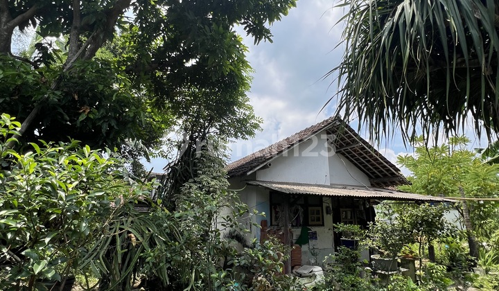 Affordable House in Puger Area, Jember 2