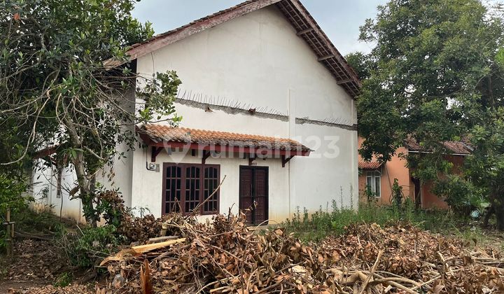 Rumah Murah di Daerah Bumi Ratu Nuban, Lampung Tengah