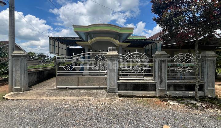 Rumah Murah di Daerah Tegineneng, Pesawaran Rumah Murah di Daerah Tegineneng, Pesawaran