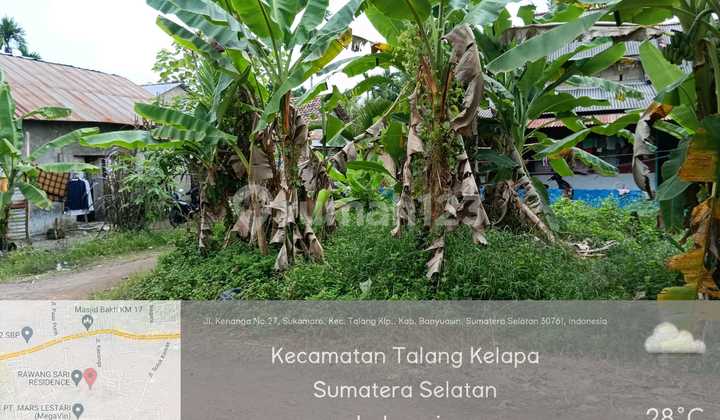 Cheap Land in Talang Kelapa Area, Banyuasin Cheap Land in Talang Kelapa Area, Banyuasin