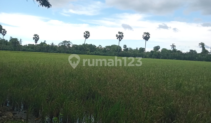 Tanah Murah di Daerah Jl Bonto Poko Makassar