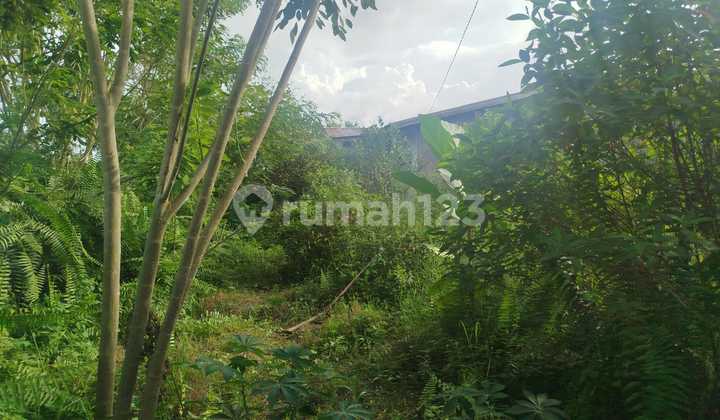 Tanah Murah di Daerah Beringin, Deli Serdang