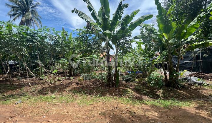 Cheap Land in the Bumi Ratu Nuban Area, Central Lampung Cheap Land in the Bumi Ratu Nuban Area, Central Lampung