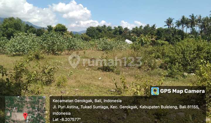 Cheap Land in Gerokgak Area, Buleleng