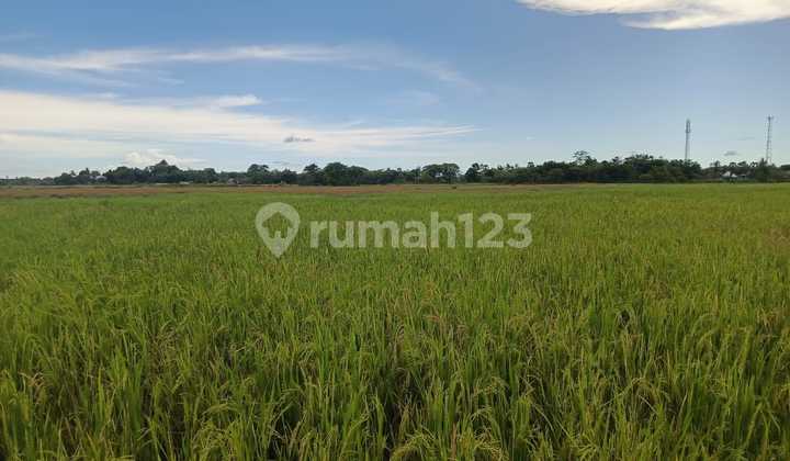Tanah Murah di Daerah Sanrobone, Takalar