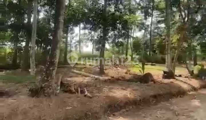 Tanah Murah di Daerah Punggur, Lampung Tengah