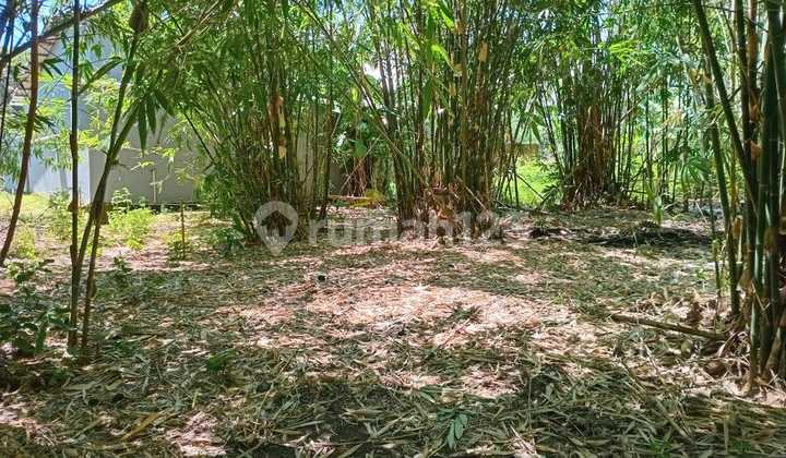 Tanah Murah di Daerah Sanrobone, Takalar