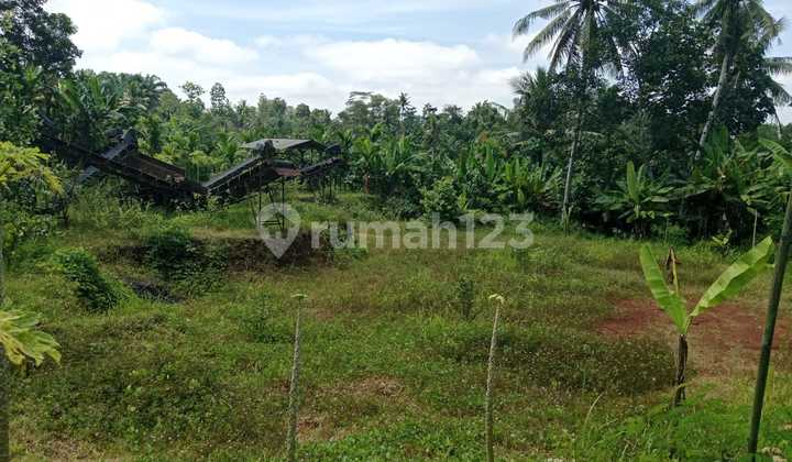 Cheap Land in Batanghari Area, East Lampung