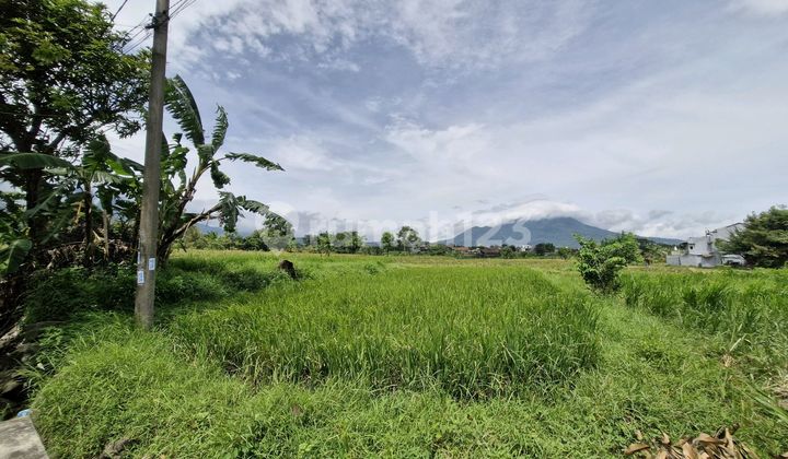 Dijual Tanah Strategis - Pandaan Lokasi: Belakang Depot Ayam Sri, Pandaan Dijual Tanah Strategis - Pandaan Lokasi: Belakang Depot Ayam Sri, Pandaan