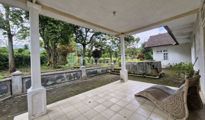‼️ *Rare Find in Batu!**Villa for Sale Near Bns Batu City* Huge Garden - High Value & Rare in Batu's Premium Area ‼️ *Rare Find in Batu!**Villa for Sale Near Bns Batu City* Huge Garden - High Value & Rare in Batu's Premium Area