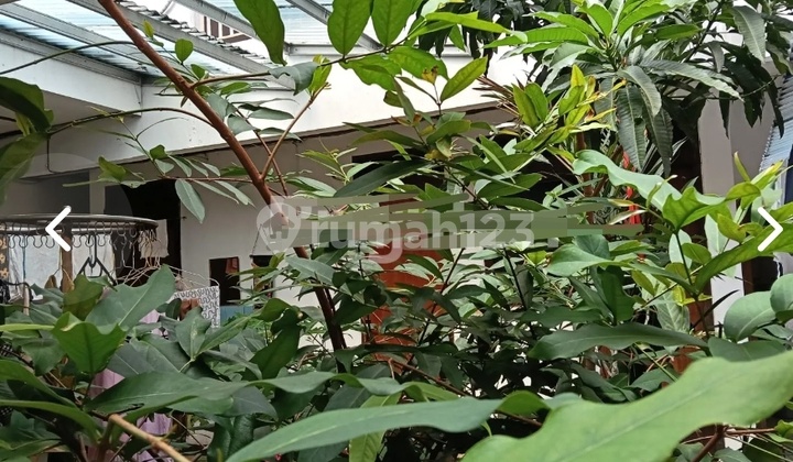 Rumah 1 Lantai di Bendungan Hilir Jakarta Pusat 2