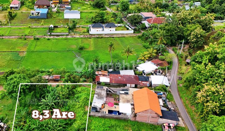 Premium Land For Sale In Lovina North Bali Premium Land For Sale In Lovina North Bali