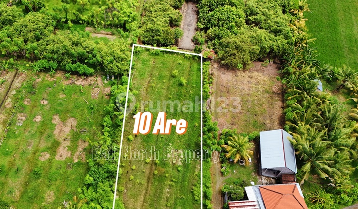 Ultra Exclusive Land For Sale Ultra Exclusive Land For Sale