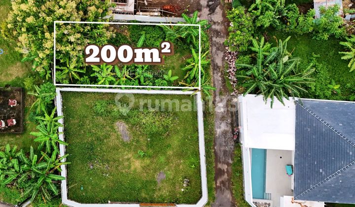 Premium Land For Sale In Lovina North Bali Premium Land For Sale In Lovina North Bali