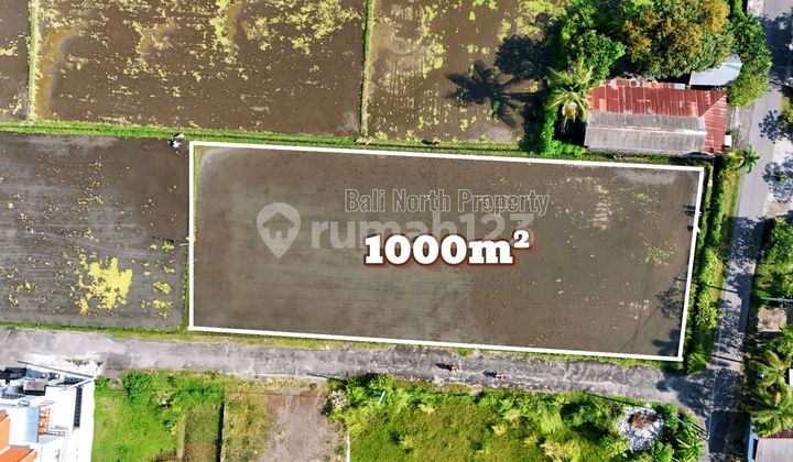 Premium Land For Sale In Lovina North Bali