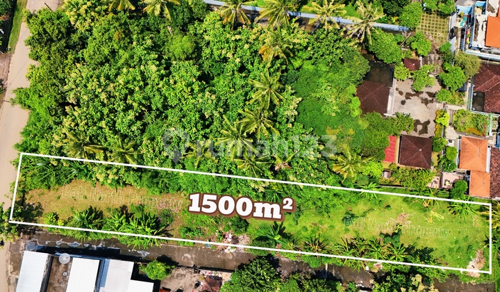 Premium Land For Sale In Lovina Bali