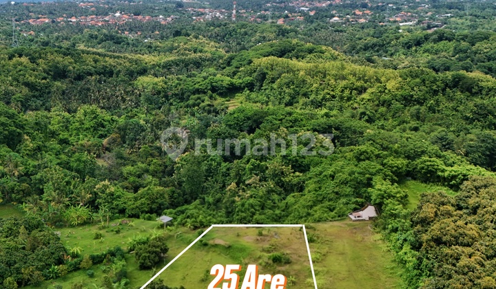 Tanah Ocean View Tanah Ocean View