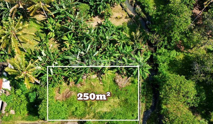 Dijual Tanah Strategis Dikawasan Lovina Bali Utara