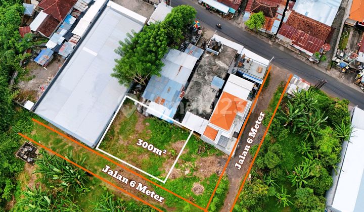 Dijual Tanah Super Strategis Dikawasan Lovina Bali Utara