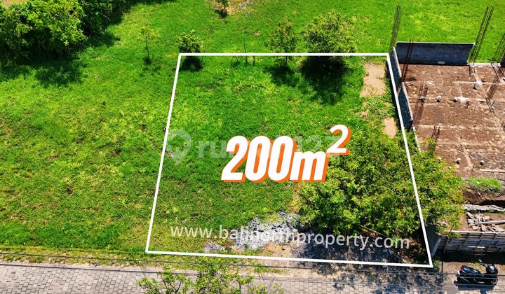 Dijual Tanah Strategis Dikawasan Lovina Bali Utara