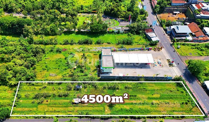 Super Premium Land For Sale In Lovina North Bali Super Premium Land For Sale In Lovina North Bali