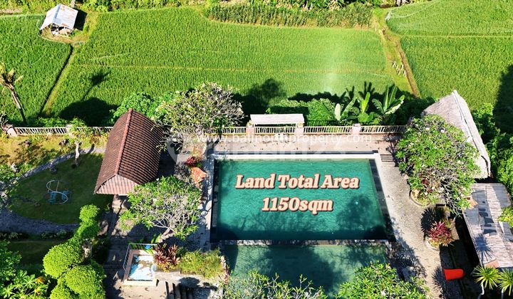 Public Swimming Pool For Sale In Sambangan Village, North Bali