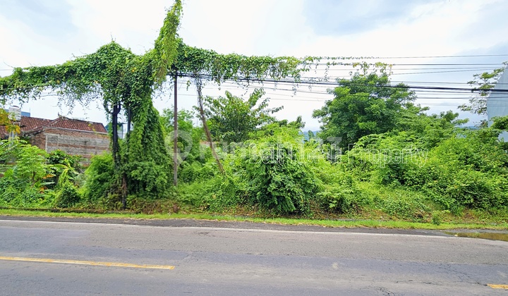 Premium Land Main Road In The North Of Bali Premium Land Main Road In The North Of Bali