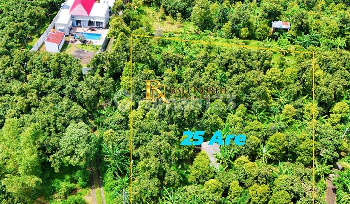 Elegant Land Hillside For Sale In Buleleng Bali Utara Elegant Land Hillside For Sale In Buleleng Bali Utara