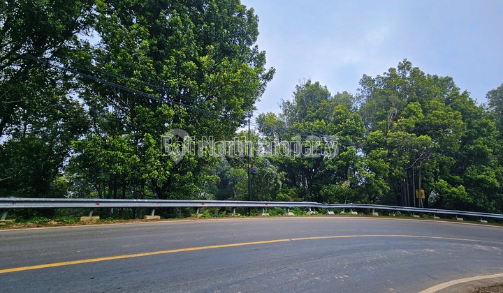 Tanah Kebun Cengkeh For Sale