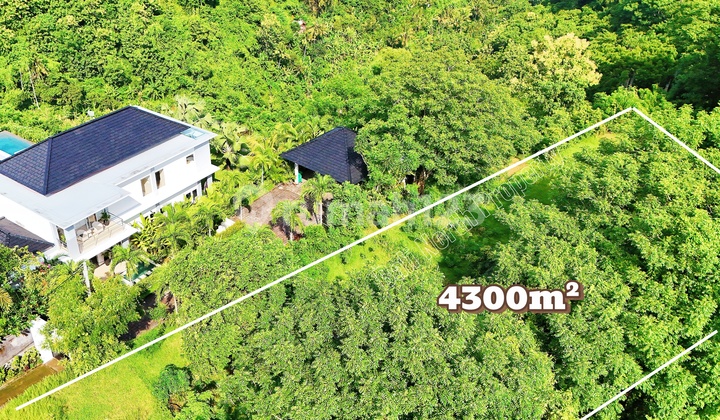 Premium Ocean View Land For Sale
