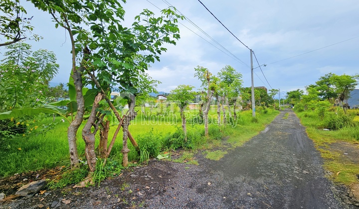 Premium Land For Sale In Lovina At The North Of Bali Premium Land For Sale In Lovina At The North Of Bali