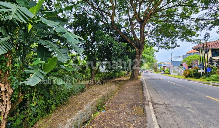 Premium Main Road Land Bali Utara Premium Main Road Land Bali Utara