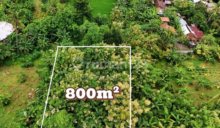 Dijual Tanah Potensial Dikawasan Central Lovina Bali Utara