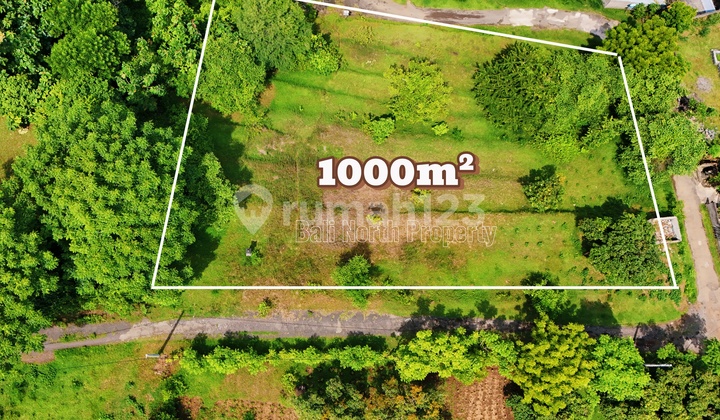 Tanah, SHM, di Lovina Tanah, SHM, di Lovina