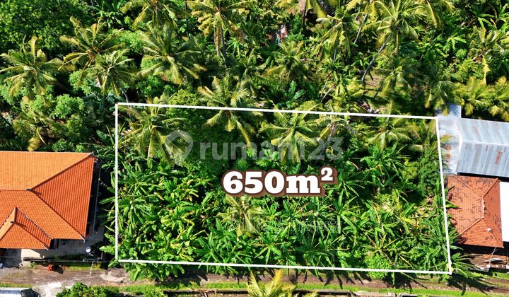 For Sale Premium Land in Lovina North Bali